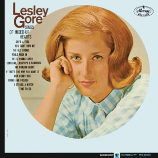 کاور آهنگ You Don't Own Me از Lesley Gore