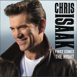 کاور آهنگ Kiss Me Like A Stranger از Chris Isaak