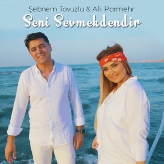 کاور آهنگ Seni Sevmekdendir از Şebnem Tovuzlu & Ali Pormehr