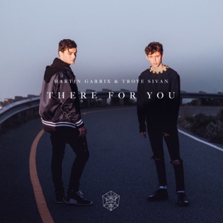 کاور آهنگ There for You از Martin Garrix & Troye Sivan