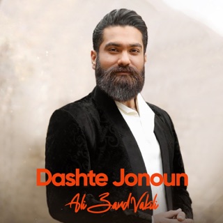 کاور آهنگ Dasht-E Jonoon از Ali Zand Vakili