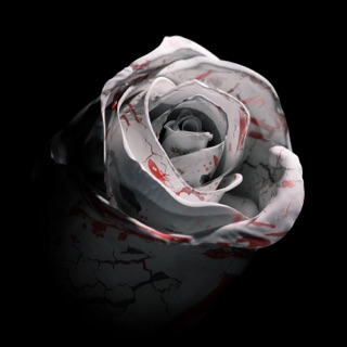 کاور آهنگ Romantic Homicide از d4vd