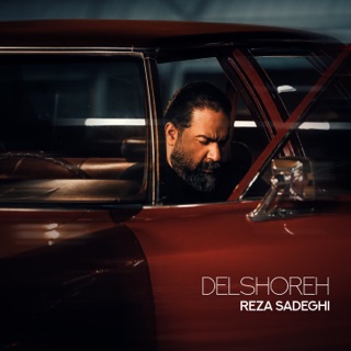 کاور آهنگ Delshoreh از Reza Sadeghi