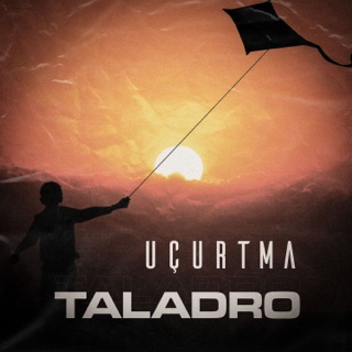 کاور آهنگ Ay Balam _ TÜrkish song⚔ از Taladro