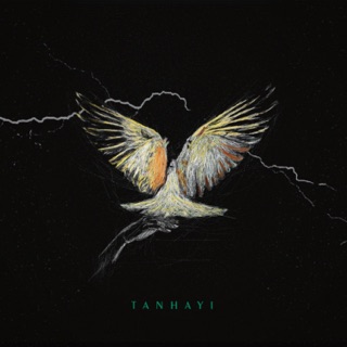 کاور آهنگ Tanhayi از Mehyad, Lenna & Alireza Gorgani
