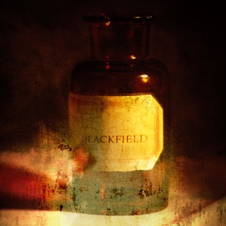 کاور آهنگ Blackfield - Pain از Blackfield