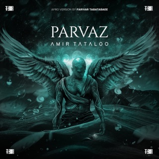 کاور آهنگ Parvaz امیر تتلو - پرواز.mp3 از Amir Tataloo