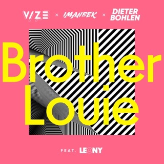 کاور آهنگ Brother Louie از Brother Louie
