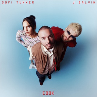 کاور آهنگ COOK از SOFI TUKKER & J Balvin