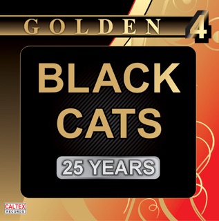 کاور آهنگ Jooneh Khodet از Black Cats
