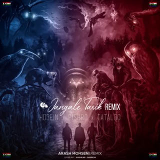 کاور آهنگ Jangale Tarik (Arash Mohseni Remix) از Amir Tataloo, Reza Pishro & Ho3ein