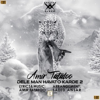 کاور آهنگ Dele Man Havato Karde 2 از Amir Tataloo