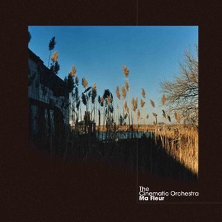کاور آهنگ To Build a Home (feat. Patrick Watson) از The Cinematic Orchestra