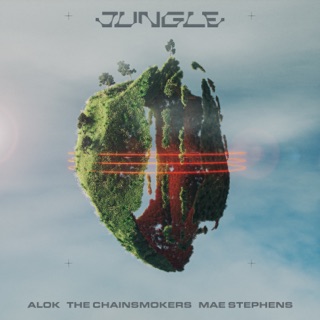 کاور آهنگ Jungle از Alok