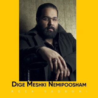 کاور آهنگ Dalile Boodan از Reza Sadeghi