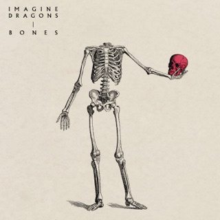 کاور آهنگ Bones از Imagine Dragons