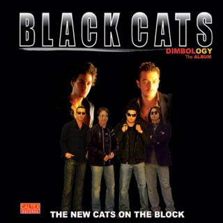 کاور آهنگ Boro از Black Cats