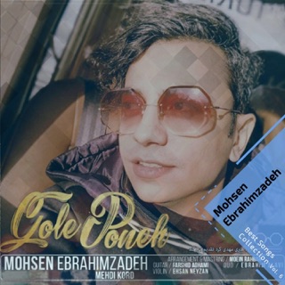 کاور آهنگ Bardasht Raft از Mohsen Ebrahimzadeh