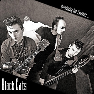 کاور آهنگ Virgen Loco از Black Cats