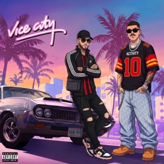 کاور آهنگ VICE CITY از Big Shaggy
