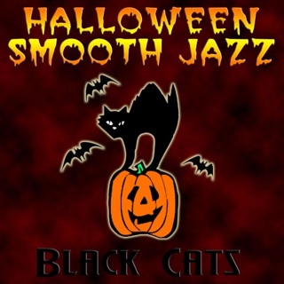 کاور آهنگ Hocus Pocus Party از Black Cats