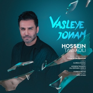 کاور آهنگ Vasleye Jonam از Hossein Tavakoli