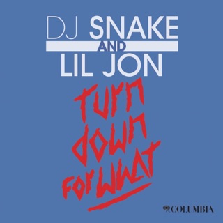 کاور آهنگ Turn Down for What از DJ Snake & Lil Jon