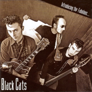 کاور آهنگ Ghost از Black Cats