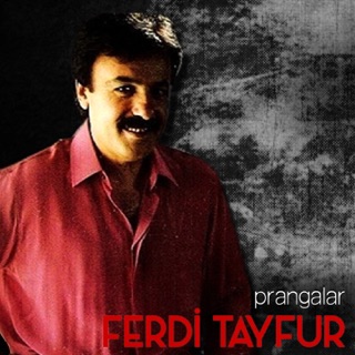 کاور آهنگ Geçen Yıl از Ferdi Tayfur