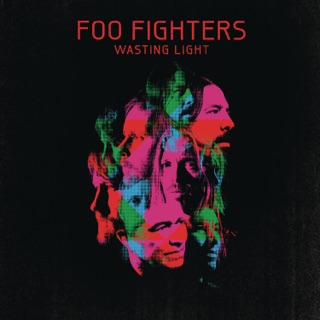 کاور آهنگ These Days (Official Music Video) از Foo Fighters