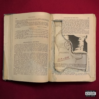 کاور آهنگ ELM va GUN از Hiphopologist