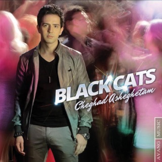 کاور آهنگ Cheghad Asheghetam Black cats  Facebook.com/Edvinbc از Black Cats