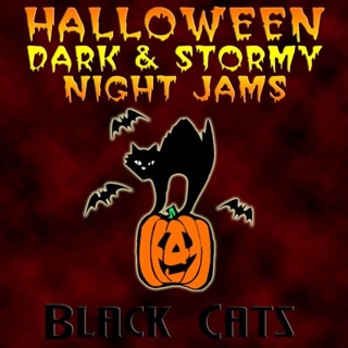 کاور آهنگ Black Cats Nightmare از Black Cats