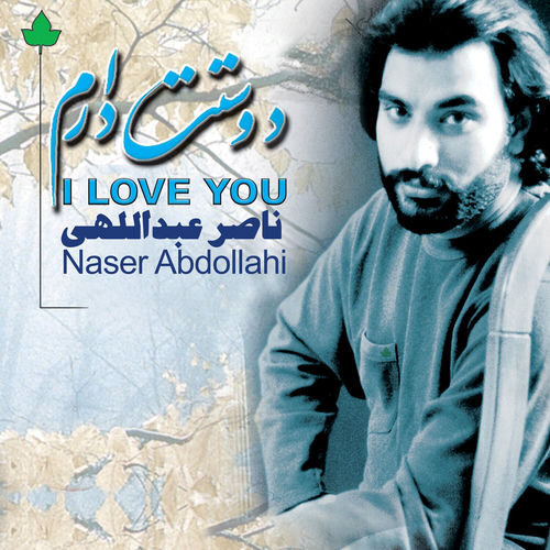 کاور آهنگ نارد زیادم از Naser Abdollahi