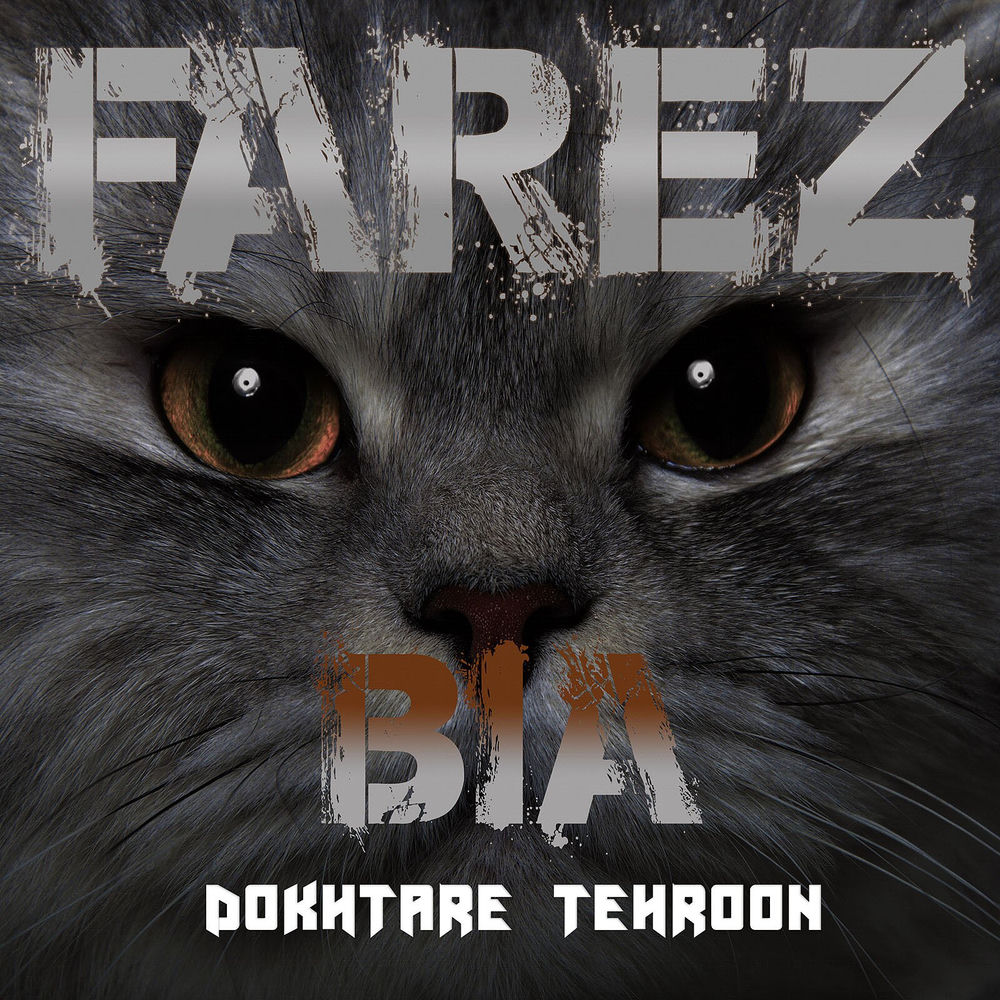 کاور آهنگ Doroogh از Farez