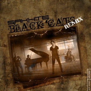 کاور آهنگ Sakhte  ~  Black cats از Black Cats