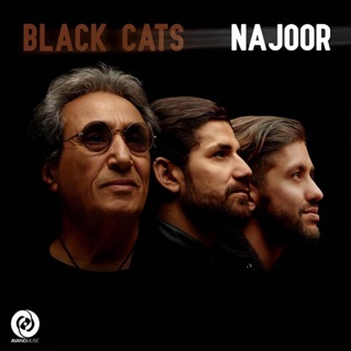 کاور آهنگ Emshab از Black Cats