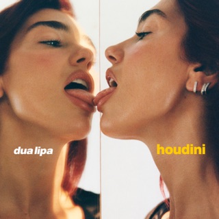 کاور آهنگ Houdini (Morgan Page Bootleg Mix) از Dua Lipa