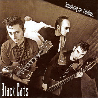 کاور آهنگ House Of The Rising Sun (The Animals cover) از Black Cats