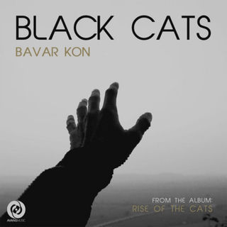 کاور آهنگ Bavar Kon از Black Cats