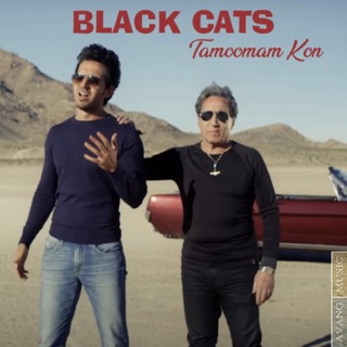 کاور آهنگ Tamoomam kon(Blackcats) facebook.com/Edvinbc Instagram.com/edvin_Blackcats از Black Cats