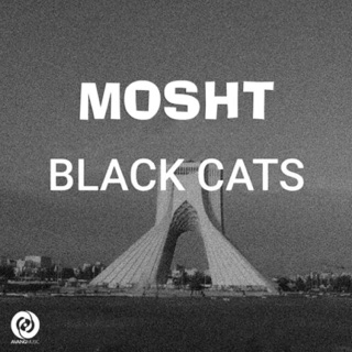 کاور آهنگ Emshab از Black Cats