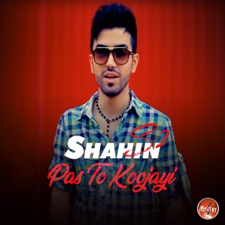 کاور آهنگ Footbalista از Shahin S2