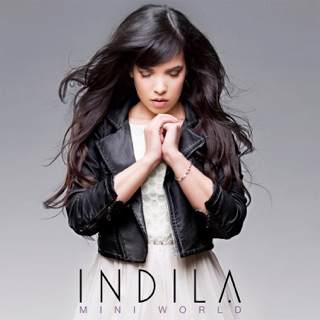 کاور آهنگ Indila از Indila
