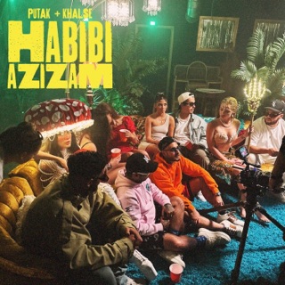 کاور آهنگ Habibi Azizam از Putak & Sepehr Khalse