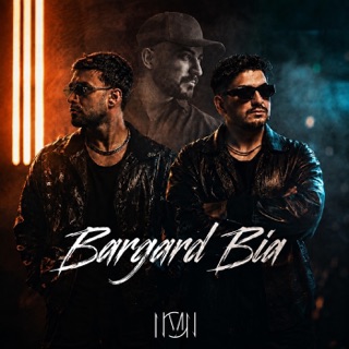 کاور آهنگ Bargard Bia (feat. Farhaad) از Dj Novin