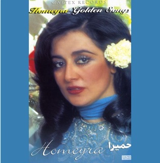 کاور آهنگ Bi Vafaei از Homeyra