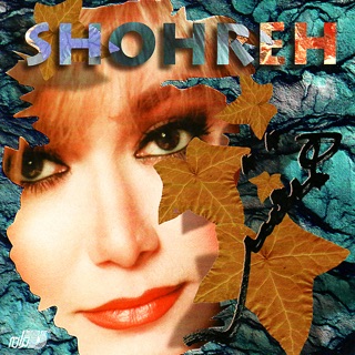 کاور آهنگ Aksasho Pareh Kardam | شهره - منم عکساشو پاره کردم از Shohreh