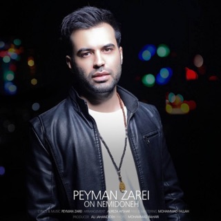 کاور آهنگ On Nemidoneh از Peyman Zarei
