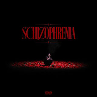 کاور آهنگ SCHIZOPHRENIA از Big Shaggy